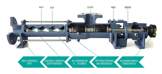 單螺桿泵結(jié)構(gòu)圖